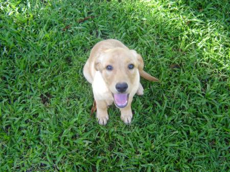                        {{{{'''''''''''''''''Skit